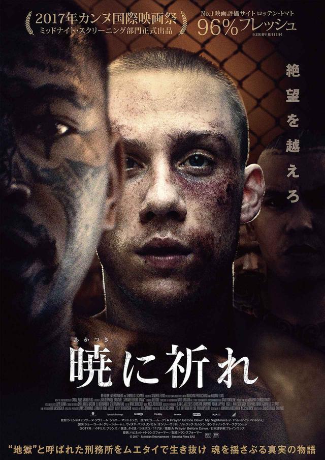 画像1: © 2017 - Meridian Entertainment - Senorita Films SAS