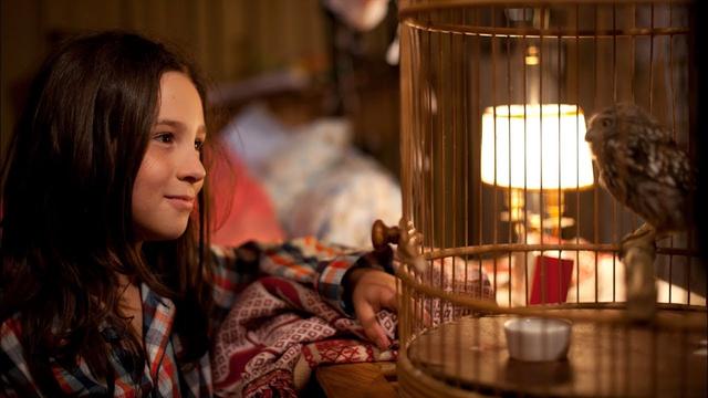 夜の葉 映画をめぐる雑感 特別寄稿 マチルド 翼を広げ 木村有理子 シネフィル 映画とカルチャーwebマガジン