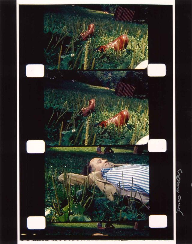 画像1: 写真作品