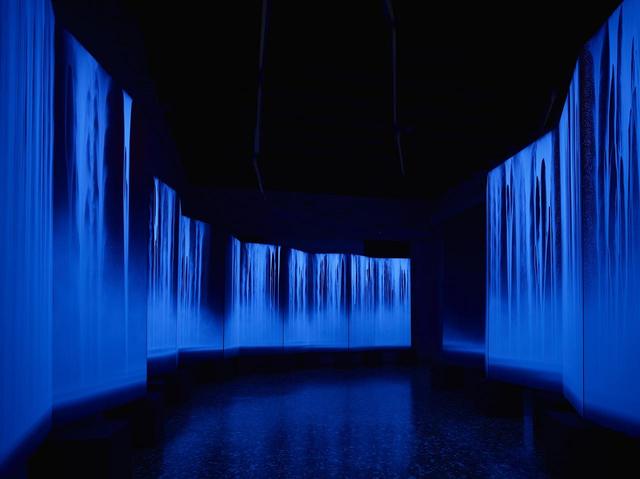 画像: 《龍神I・II》 2015年 240.0×1140.0cm(各六曲一双) 軽井沢千住博美術館蔵 (2015年ヴェネツィア・ビエンナーレの展示風景)