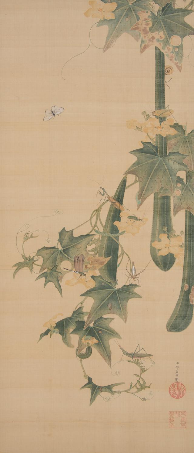 画像: 伊藤若冲 糸瓜群虫図 江戸中期