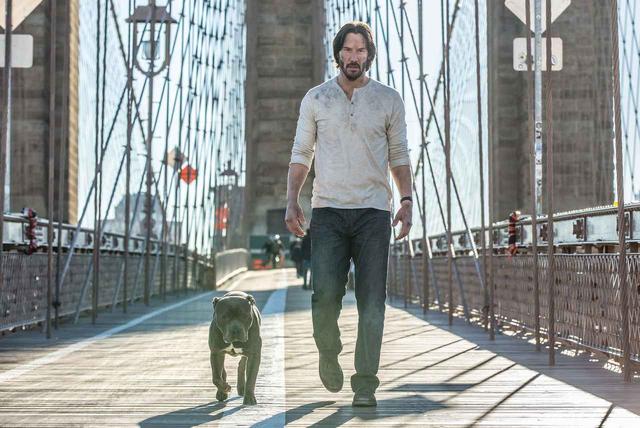 画像2: 『ジョン・ウィック チャプター2』より (C)2017 Summit Entertainment, LLC. All Rights Reserved. (C)Niko Tavernise