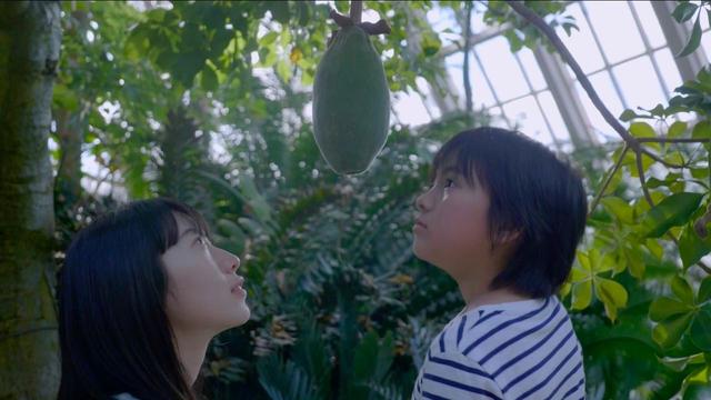 画像: 『散歩する植物』 35分 監督:金子由里奈 (23歳/東京都出身/立命館大学 映画部)