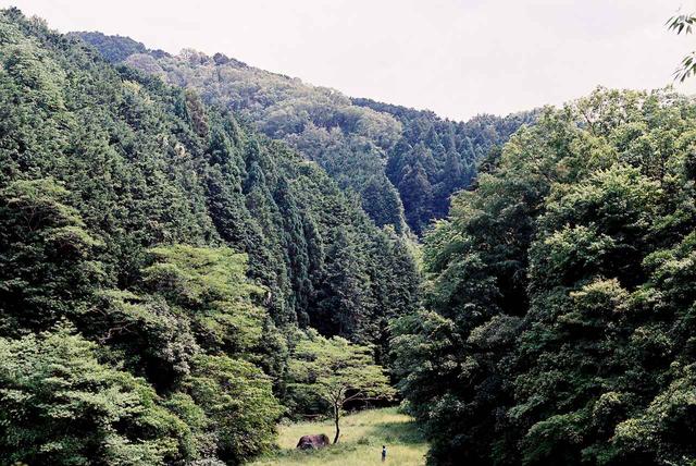 画像: 『おばけ』 60分 監督:中尾広道 (39歳/大阪府出身/派遣社員)