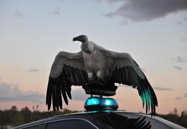 画像: Matthew Barney and Jonathan Bepler RIVER OF FUNDAMENT: KHU, 2014 Production Still Photo: Hugo Glendinning © Matthew Barney, Courtesy Gladstone Gallery, New York and Brussels.