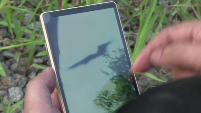 画像1: 「中盤からの展開は予想をはるかに超えていた。唖然とする。」と森達也がコメント!フェイクか?真実か? UFOドキュメンタリー『虚空門 GATE 』