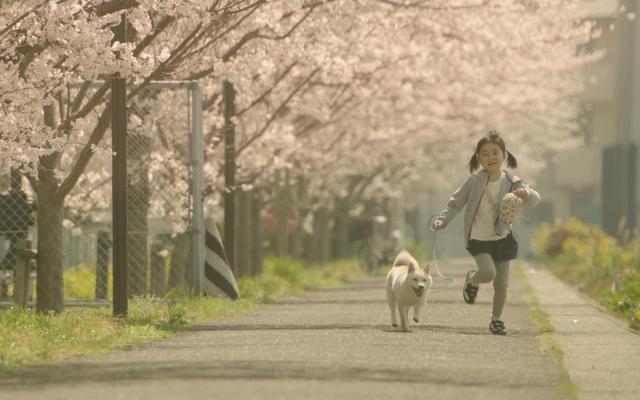 画像6: ©2019映画「駅までの道をおしえて」production committee