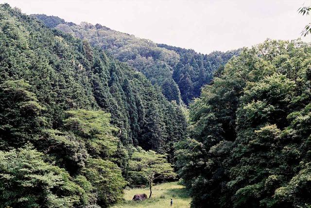 画像1: グランプリ 『おばけ』監督:中尾広道 (39歳/大阪府出身/上映時間:64分)