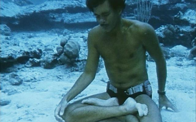 画像1: ©Mayol family archive/Daniele Padovan/Daan Verhoeven/Junji Takasago/Mehgan Heaney-Grier/Bruno Rizzato