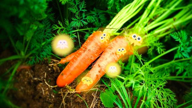 画像7: 食と農の新しい未来が見えてくる腸活エンターテイメント・ドキュメンタリー『いただきます ここは、発酵の楽園』-ナレーションは小雪。