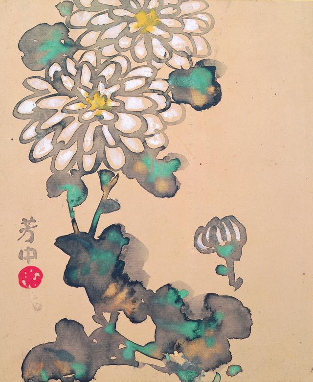 画像: 中村芳中〈花卉図画帖〉より「十月白菊」 細見美術館蔵
