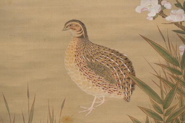 画像: 土佐光起「木瓜鶉・菊鶲図」(部分)江戸時代17世紀 住友コレクション