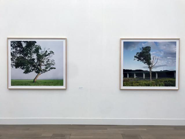 画像: 「エピローグ-再生に向かう風景」 展示風景:畠山直哉 左:《2019年8月2日 福島県南相馬市》 2019年、右:《2019年10月6日 岩手県陸前高田市》 2019年 photo©saitomoichi