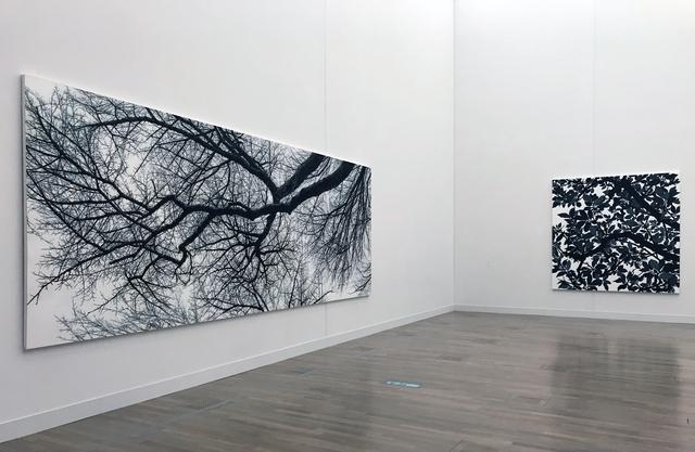 画像: 「5 自然の摂理、時間の蓄積」 展示風景:日高理恵子 左:《樹を見上げてVII》 1993年、右:《空との距離XIV》 2017年 photo©saitomoichi