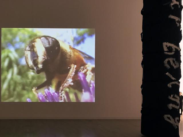 画像: 「3 風景に生きる小さきもの」 展示風景:栗林慧・栗林隆 photo©saitomoichi