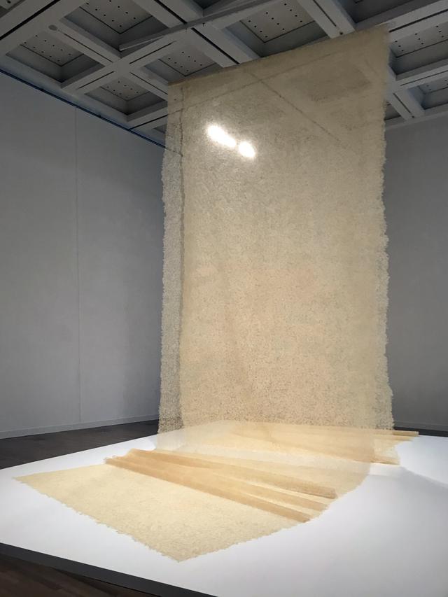 画像: 「5 自然の摂理、時間の蓄積」 展示風景:宮永愛子 《景色のはじまり》 2011年〜 photo©saitomoichi
