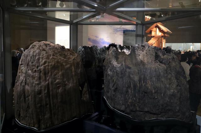 画像: 島根県・出雲大社の境内から出土した「心御柱」 鎌倉時代・正治2(1248)年 島根・出雲大社 重要文化財 かつての巨大本殿の中心柱。後ろに見えるのはかつてのその巨大本殿の1/10縮尺の推定模型