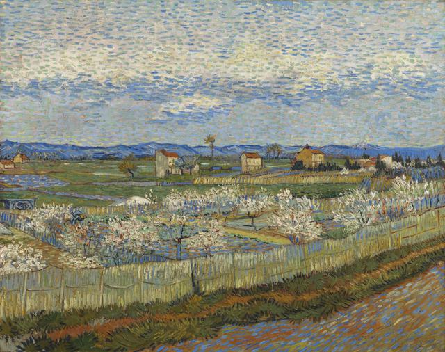 画像: フィンセント・ファン・ゴッホ 《花咲く桃の木々》 1889年 油彩、カンヴァス コートールド美術館 © Courtauld Gallery (The Samuel Courtauld Trust)