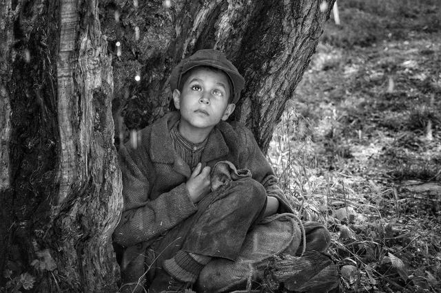 画像2: @2019 ALL RIGHTS RESERVED SILVER SCREEN ČESKÁ TELEVIZE EDUARD & MILADA KUCERA DIRECTORY FILMS ROZHLAS A TELEVÍZIA SLOVENSKA CERTICON GROUP INNOGY PUBRES RICHARD KAUCKÝ