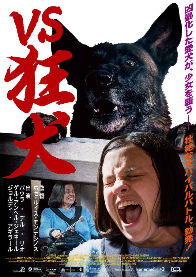 画像1: 『VS狂犬』