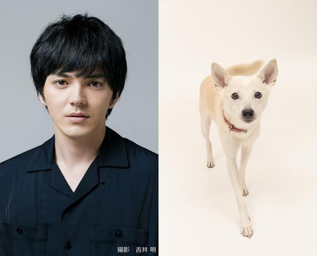 画像1: ©2021「犬部!」製作委員会