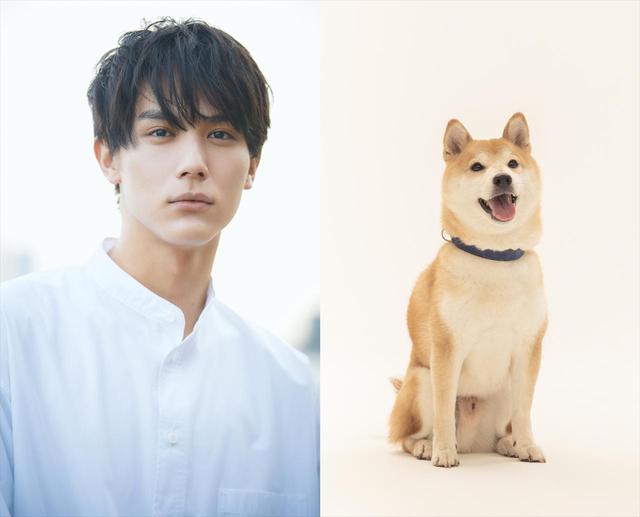 画像2: ©2021「犬部!」製作委員会