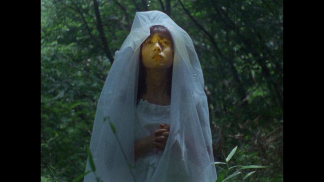 EMOTION 伝説の午後 いつか見たドラキュラ 映画」の検索結果 - Yahoo!検索