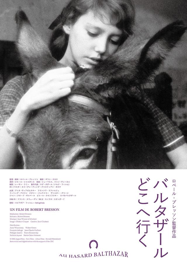 画像: 『バルタザールどこへ行く』ポスター・ビジュアル