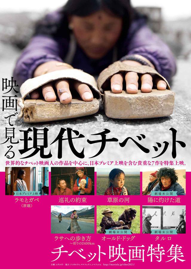画像: 近年注目されるチベット映画を特集！ソンタルジャ監督やペマ・ツェテン監督などの劇場未公開作などを中心に「映画で見る現代チベット」開催！