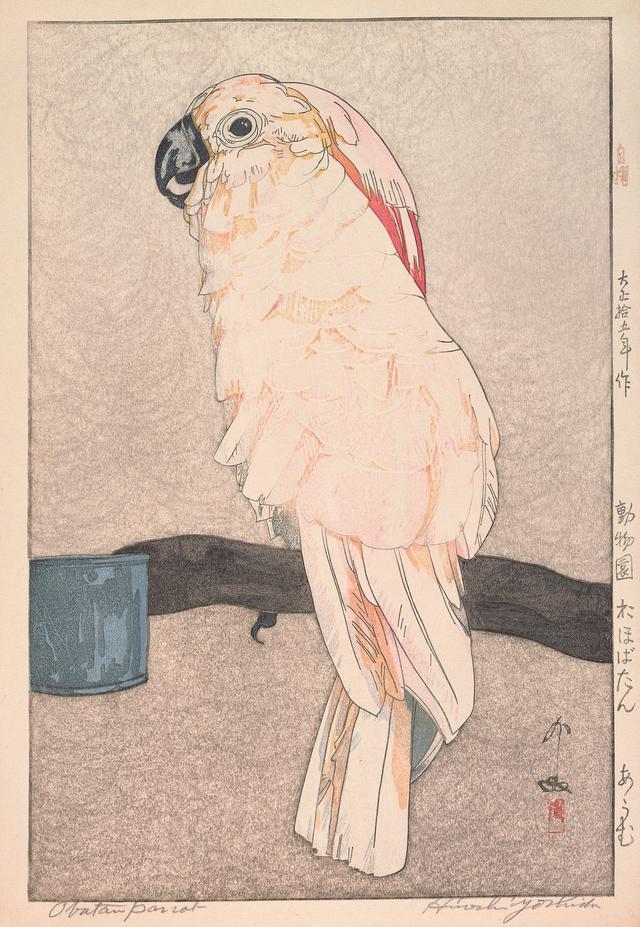 画像: 《動物園 於ほばたん あうむ》 大正15(1926)年 木版、紙 37.1×24.7cm