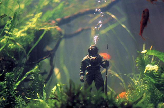 画像7: © SCHRAMM FILM / LES FILMS DU LOSANGE / ZDF / %%{red}%%ARTE / ARTE France Cinéma 2020