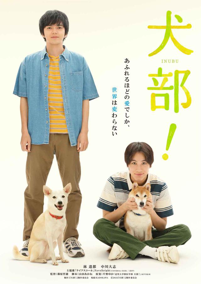 画像: ©2021『犬部!』製作委員会