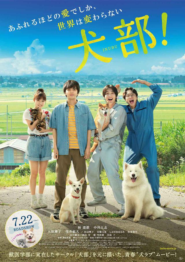 画像: ©2021『犬部!』製作委員会
