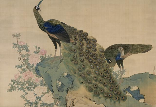 画像: 重要文化財 《牡丹孔雀図》 円山応挙筆 一幅 絹本著色 江戸時代 明和八年(1771) 相国寺蔵