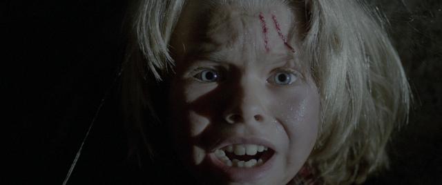 画像3: イタリア恐怖映画界のレジェンド、ルチオ・フルチの傑作13選を特集上映!