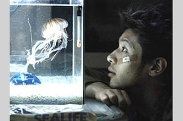 画像4: 惜しまれながらも閉館したアップリンク渋谷へのトリビュート企画「ありがとう、アップリンク渋谷」特集上映開催!グザヴィエ・ドラン、ホドロフスキーなど珠玉の7本!