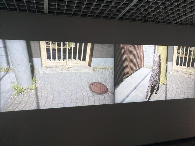 画像: 展示風景:《東京計画2020 ネコちゃん建築の5656原則》 photo©moichi