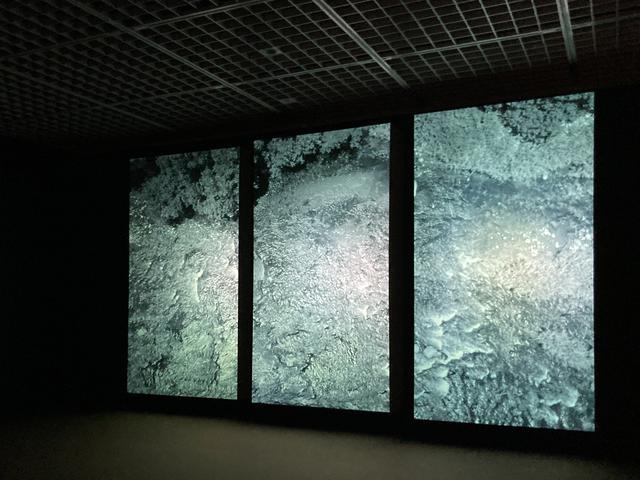 画像: 展示風景:YUSUHARA 瀧本幹也 映像作品 2020 photo©moichi