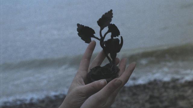 画像2: 『鉄の薔薇』(原題:La Rose de Fer) (1973/仏/80分/ヨーロピアン・ビスタ/監督ジャン・ローラン)