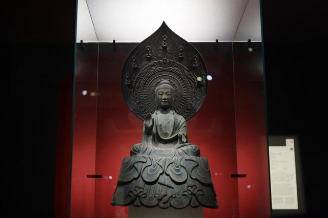 マンボウ　聖徳太子 ColBase