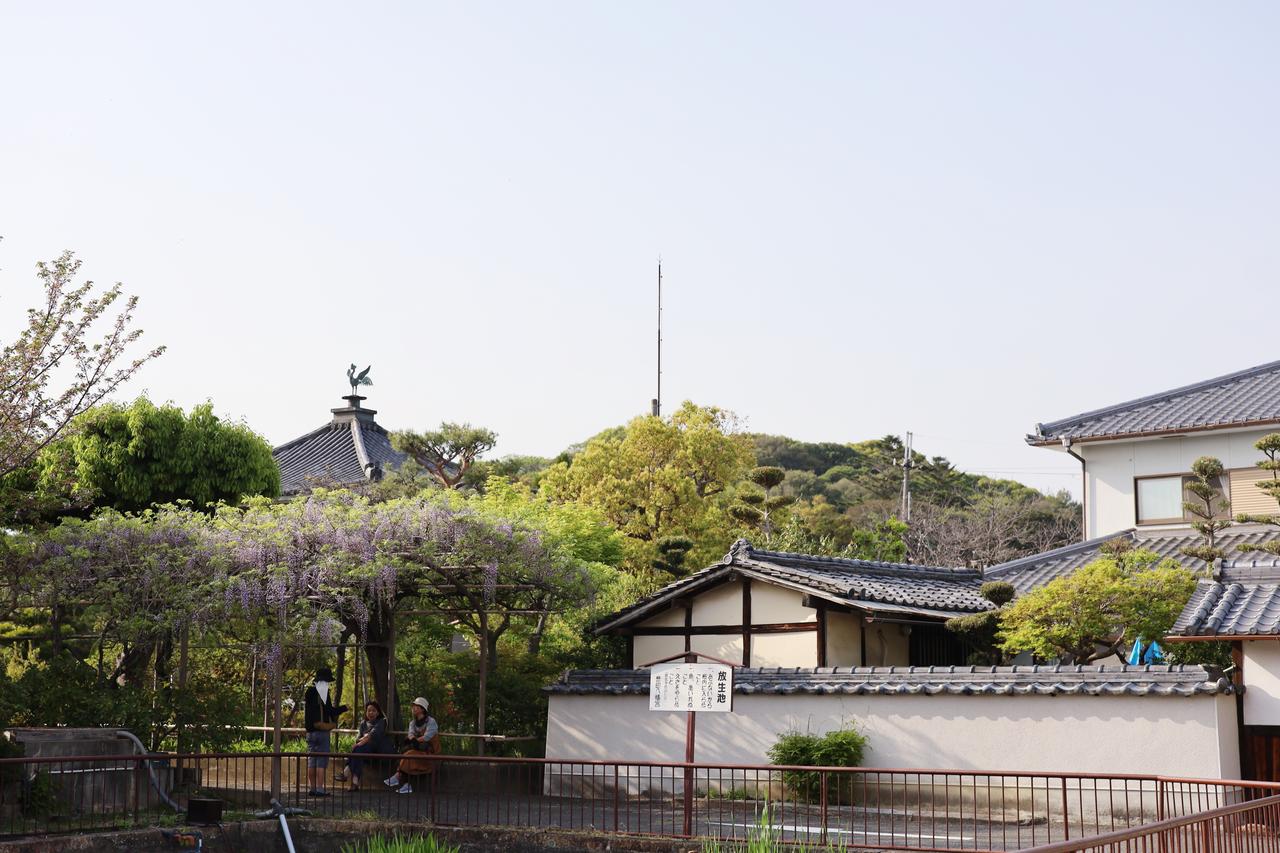 画像: 誉田八幡宮境内、かつて神宮寺の護国寺があった辺りで、仏教の放生池がある。奥に誉田御廟山古墳（応神天皇陵古墳）の後円部。頂上つまり埋葬施設と見られるところに、かつて六角の仏堂が見えた。