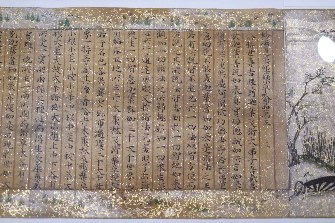 画像: 国宝 法華経（久能寺経）薬草喩品 平安時代・12世紀 個人蔵 この巻の展示期間：4月19日～5月18日、以降は随喜功徳品を展示