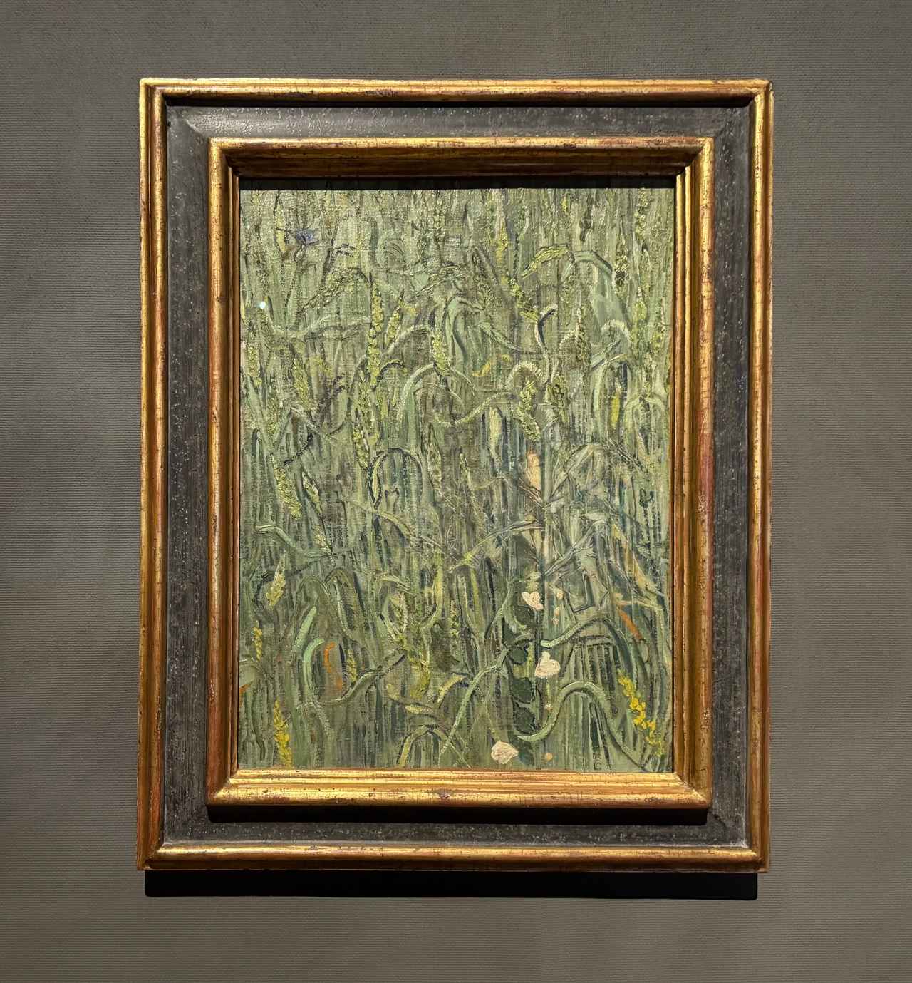 画像: フィンセント・ファン・ゴッホ《麦の穂》　1890年6月　油彩、カンヴァス　ファン・ゴッホ美術館、アムステルダム（フィンセント・ファン・ゴッホ財団）特別展「ゴッホ展　家族がつないだ画家の夢」大阪市立美術館内覧会にて撮影　photo by © cinefil