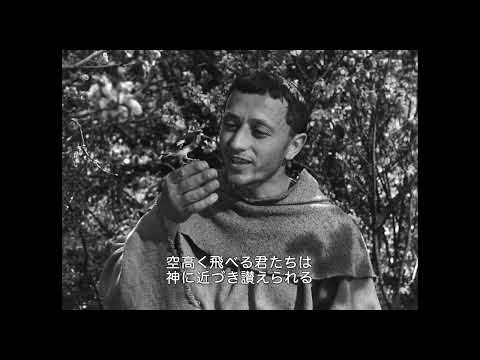 画像4: - YouTube youtu.be