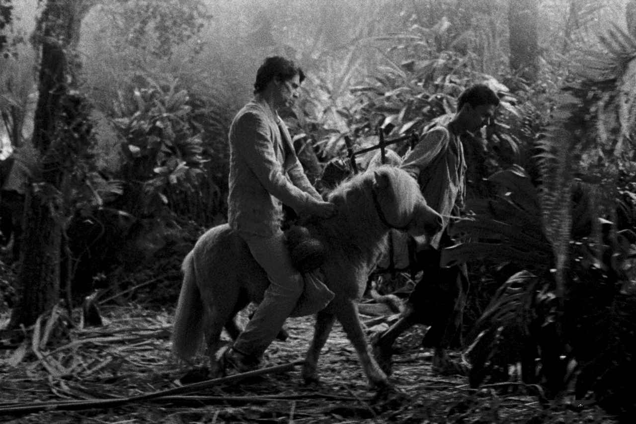 画像4: © 2024 – Uma Pedra No Sapato – Vivo film – Shellac Sud – Cinéma Defacto