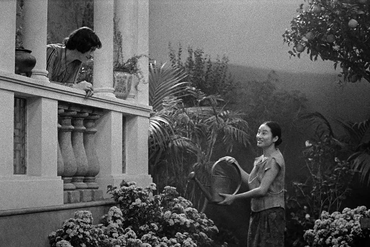 画像1: © 2024 – Uma Pedra No Sapato – Vivo film – Shellac Sud – Cinéma Defacto