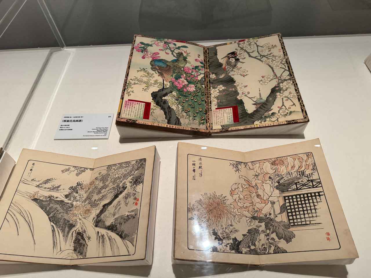 画像: 展覧会風景 「きもののヒミツ 友禅のうまれるところ」京都国立近代美術館 内覧会にて撮影 photo by © cinefil