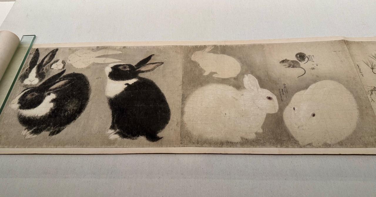 画像2: 重要文化財 円山応挙《写生図巻 (甲巻)》(部分)1771-72年 株式会社千總ホールディングス蔵 「きもののヒミツ 友禅のうまれるところ」京都国立近代美術館 内覧会にて撮影 photo by © cinefil