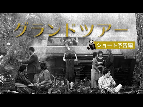 画像2: - YouTube youtu.be