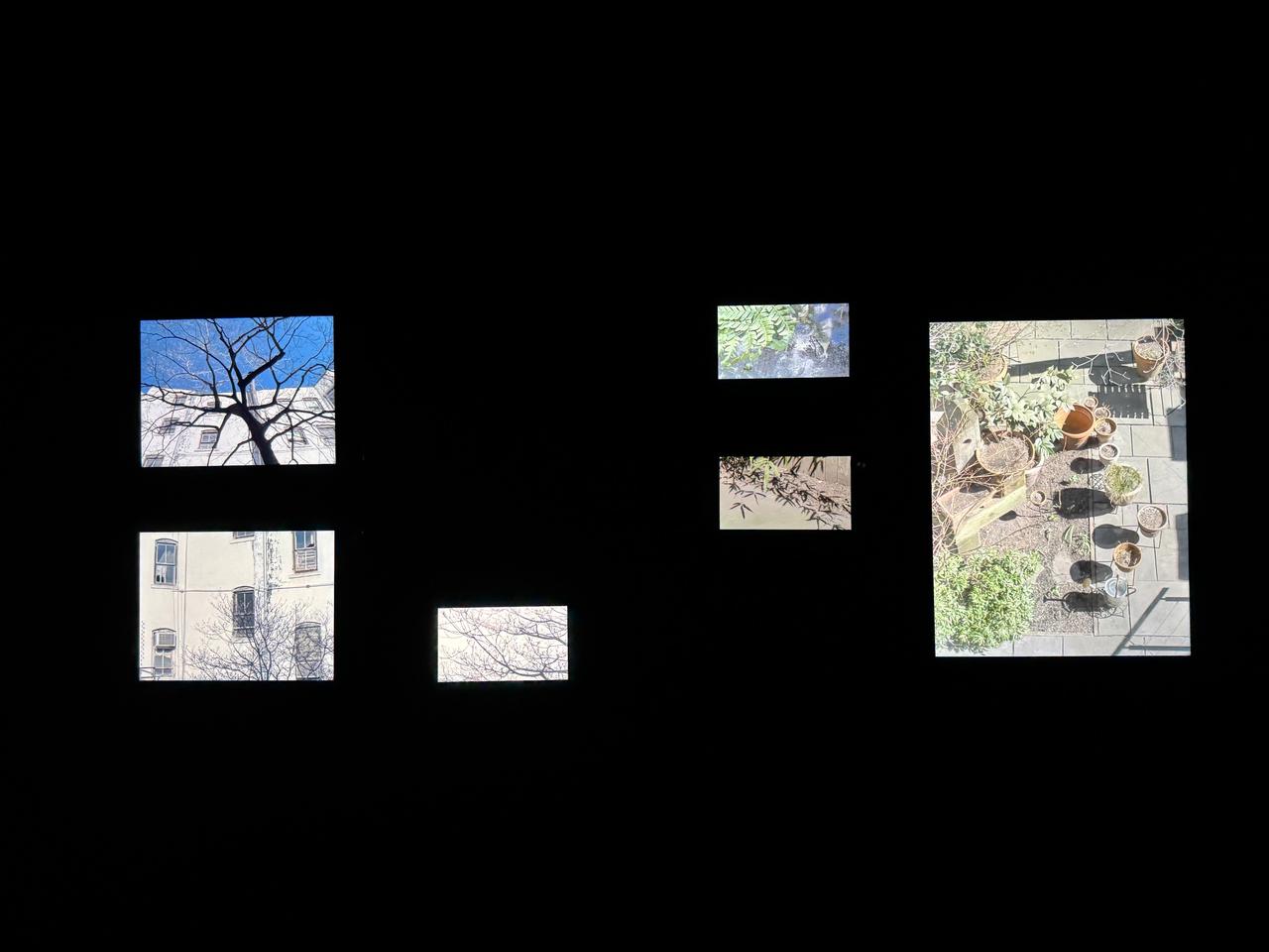 画像: 坂本龍一+Zakkubalan《async–volume》2017年 「sakamotocommon OSAKA 1970/2025/大阪/坂本龍一」VS.、2025年 内覧会にて撮影 photo by © cinefil